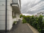 DSC03556